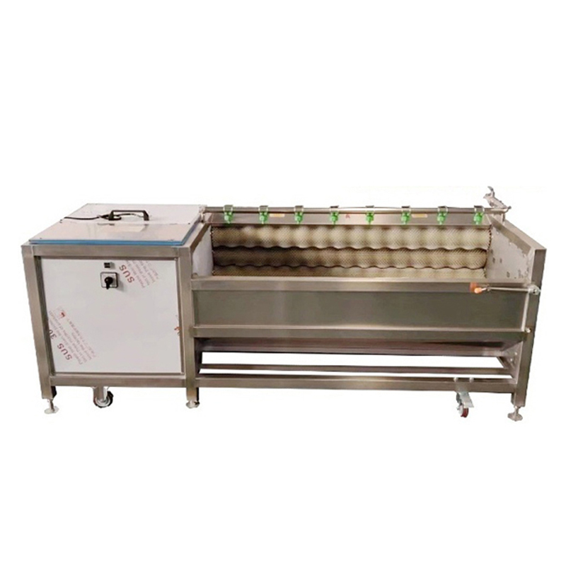 Potato Washing And Peeling Machine