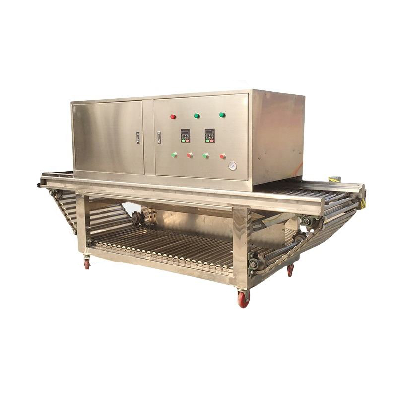 Fully Automatic Garlic Peeling Machine