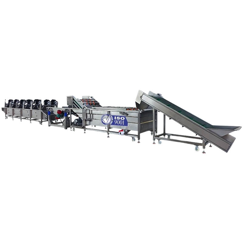 Vegetable Washing Line