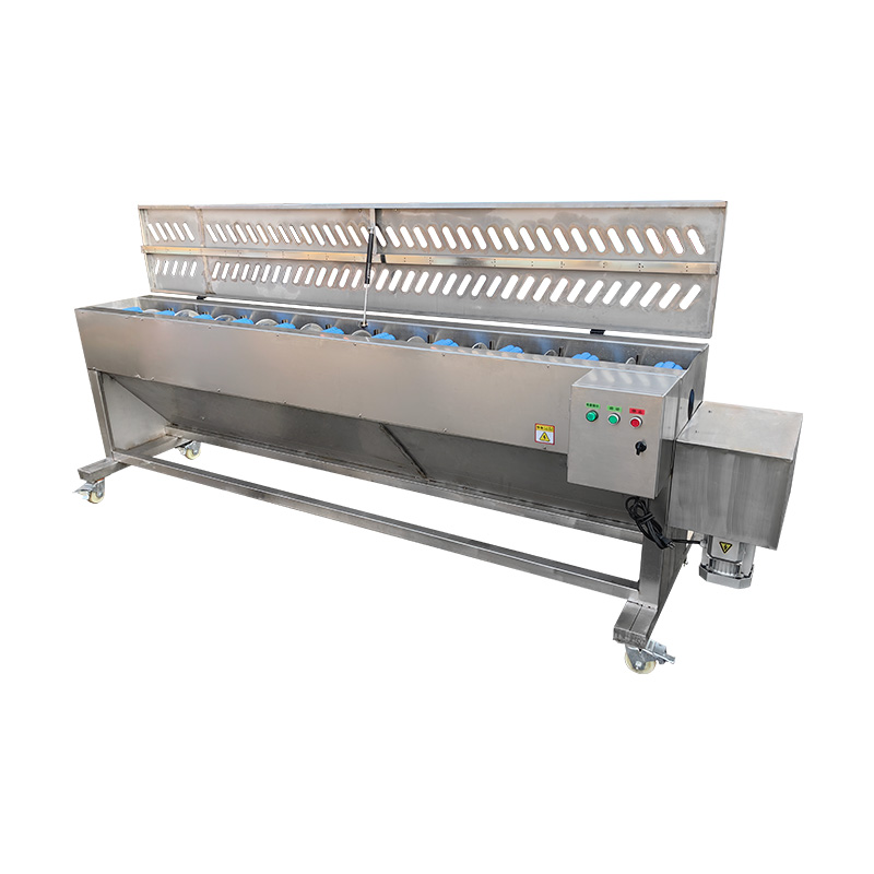 Asparagus Peeling Machine