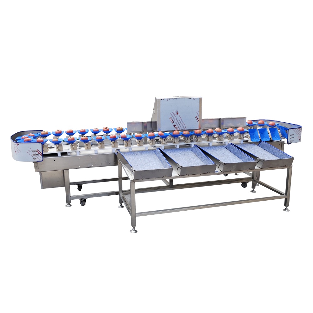 Weight Sorting Machine